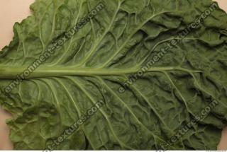 Photo Texture of Leaf Cabbage 0006